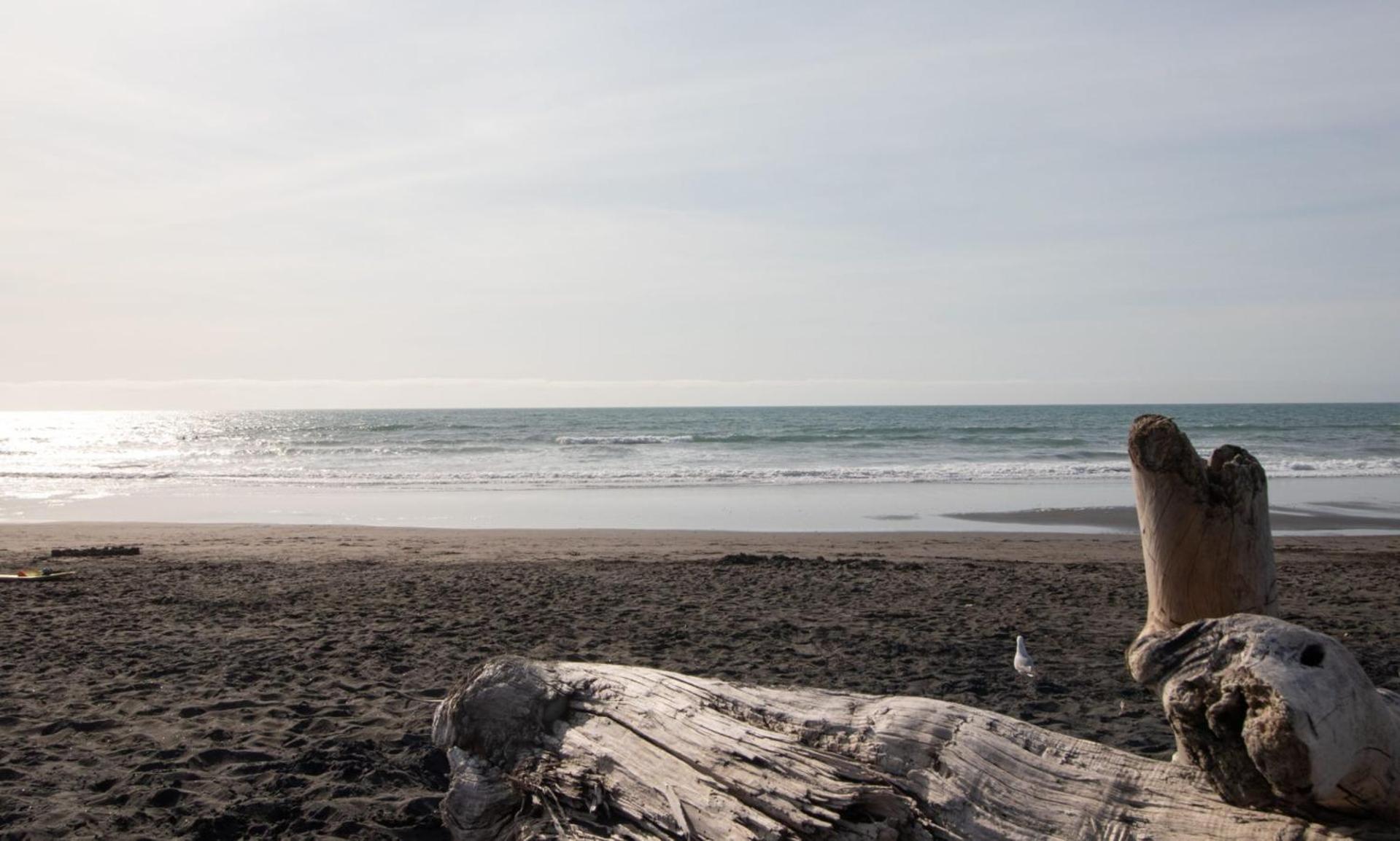 The Dunes At Fitzroy Beach - Unit 3 New Plymouth Exterior foto